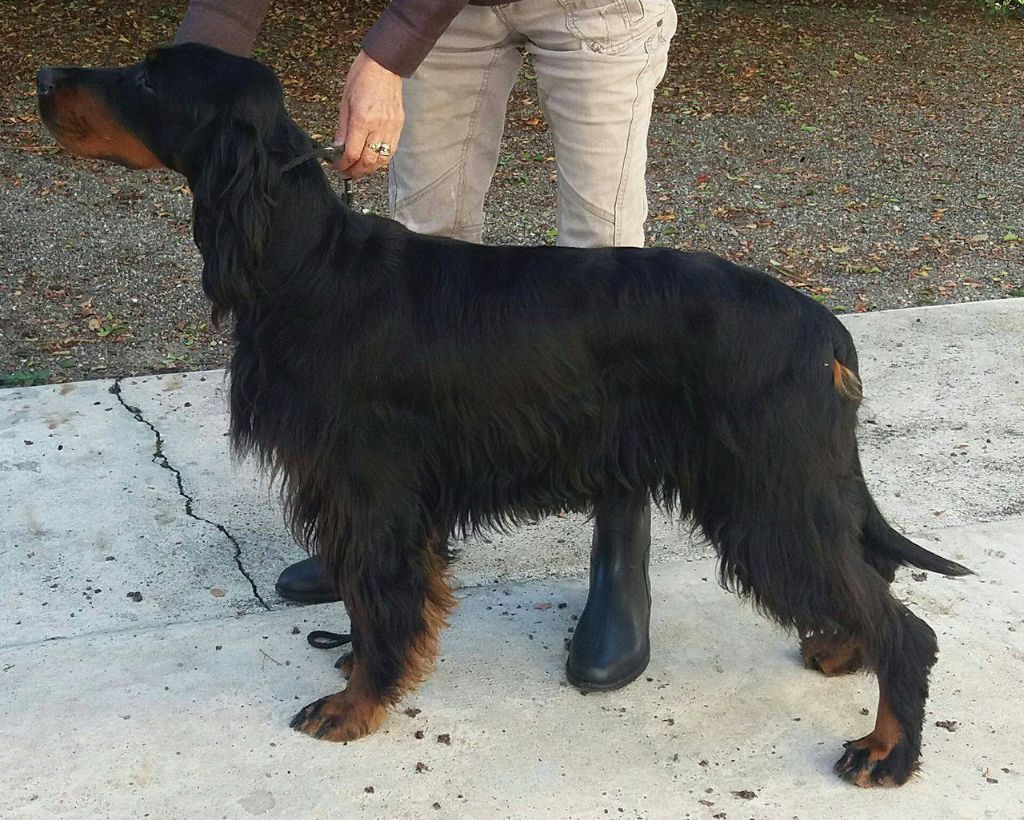 Jalie Du clos de la capitainerie