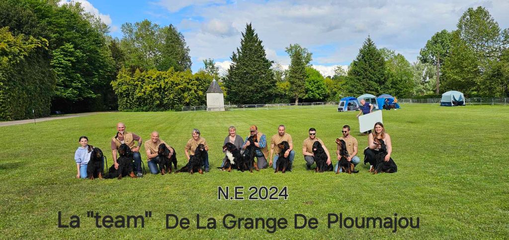 NATIONALE D'ELEVAGE 2024