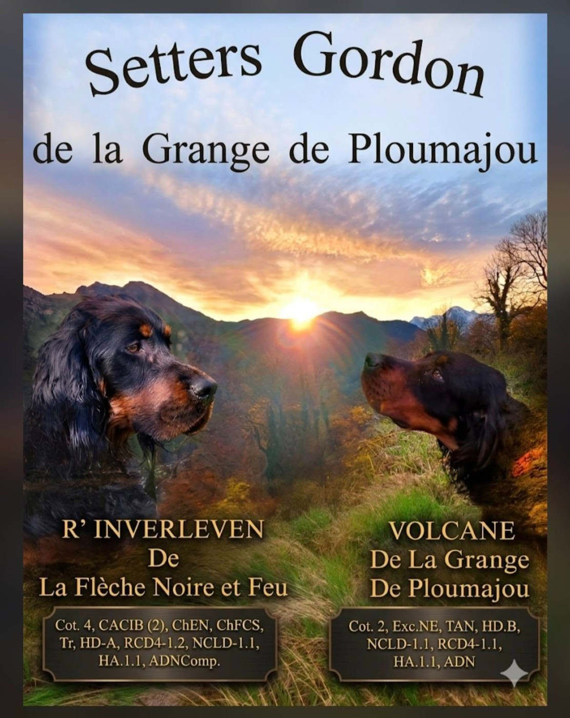 BEBINOUS EN VUE !