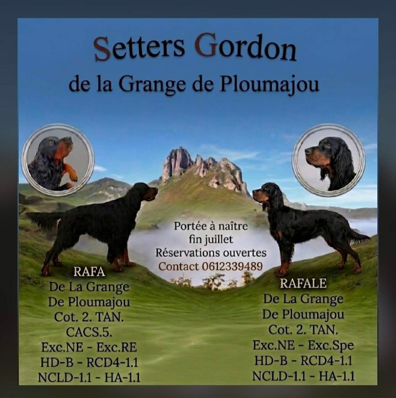 Ambiance assurée cet été 2026 à l'Elevage De La Grange De Ploumajou !