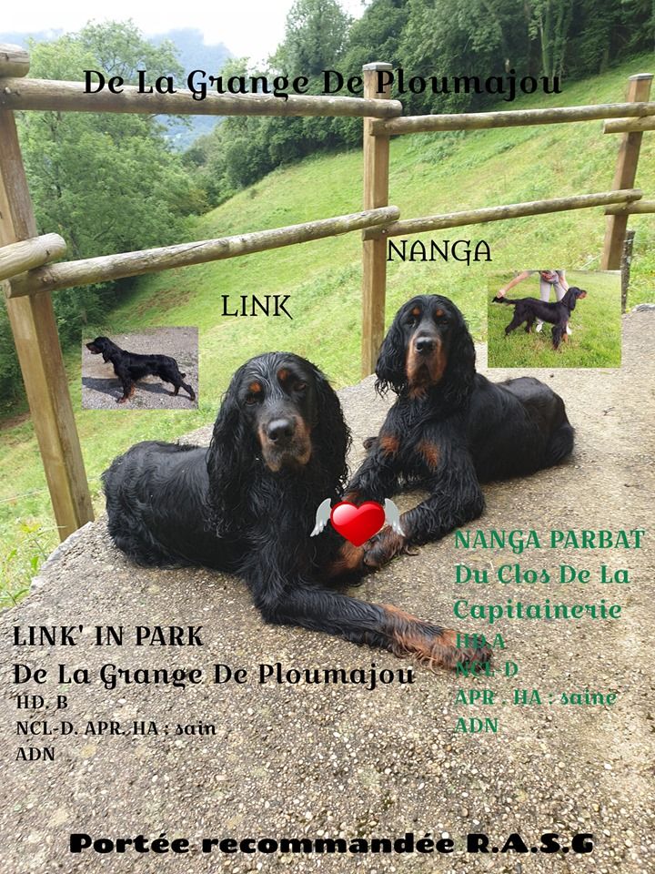 De La Grange De Ploumajou - NANGA & LINK futurs parents