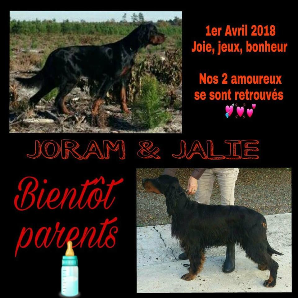 De La Grange De Ploumajou - JALIE & JORAM Du Clos De La Capitainerie bientôt parents