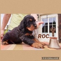 ROC De La Grange De Ploumajou